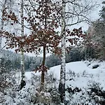 Erholung Im Wald - Mit Schwimmbad Διαμέρισμα