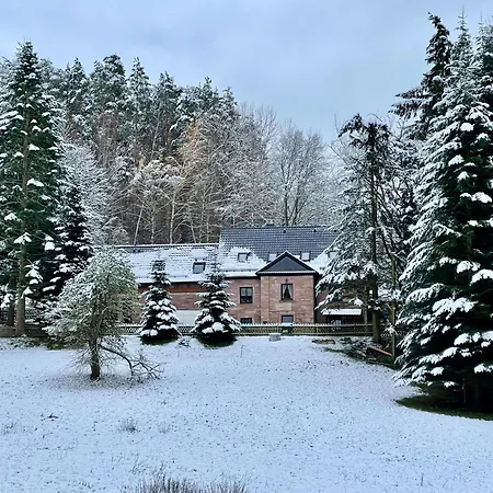 Erholung Im Wald - Mit Schwimmbad Appartement