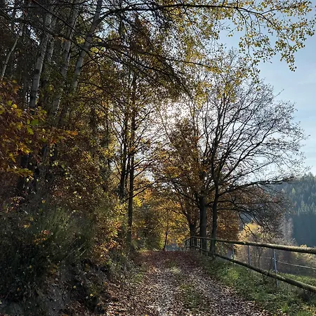 Erholung Im Wald - Mit Schwimmbad Appartement *