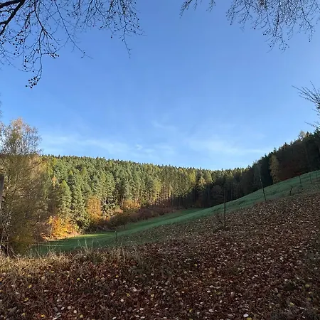 Erholung Im Wald - Mit Schwimmbad * Hessles