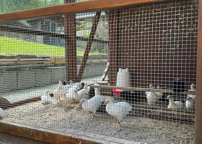 Erholung Im Wald - Mit Schwimmbad Apartamento *