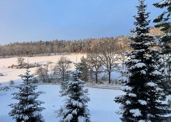 Erholung Im Wald - Mit Schwimmbad