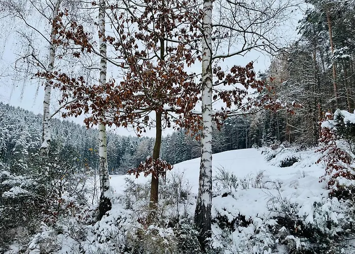 Erholung Im Wald - Mit Schwimmbad Apartamento