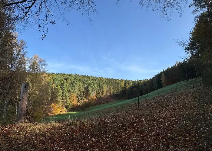 Erholung Im Wald - Mit Schwimmbad * Hessles