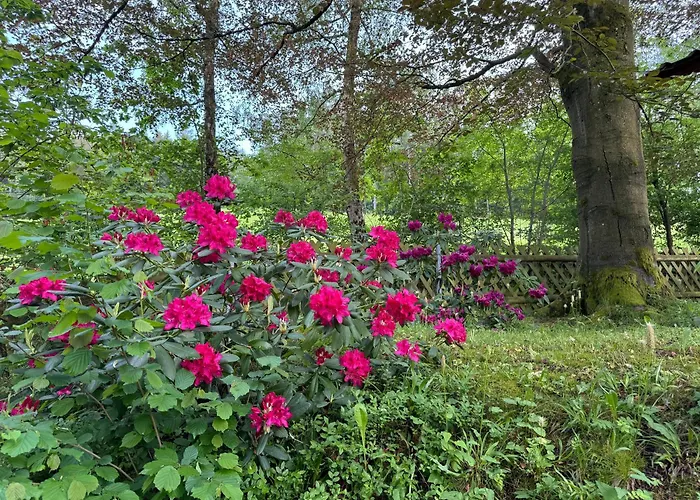 Apartamento Erholung Im Wald - Mit Schwimmbad Hessles